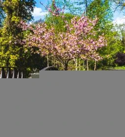 Vácrátóti Arborétum 