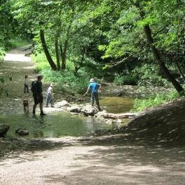 Bognár Vendégház Zirc - Egyéb