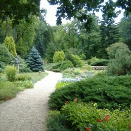 Bognár Vendégház Zirc - Egyéb