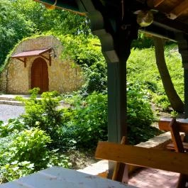 Forest Hills Biohotel & Golf Zirc - Medence/kert