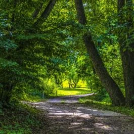 Forest Hills Hotel & Golf Zirc - Medence/kert