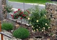 Rózsa Vendégház Zirc