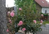 Rózsa Vendégház Zirc