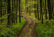 Zirc - Cuha-völgyi Tanösvény