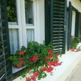 Zsámbéki Vendégház Zsámbék - Egyéb