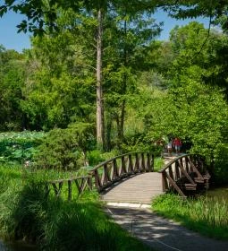 Vácrátóti Arborétum 