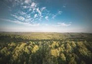 Hotel Kardosfa Zselickisfalud